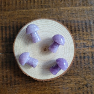 Lepidolite Worry Stone Mushroom Pocket Carving