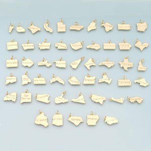 Puede incluir: Una colección de dijes dorados con forma de estados de EE. UU. Cada dije tiene la forma del estado que representa. Los dijes están dispuestos en filas y columnas, con el nombre del estado escrito. Pequeños y delicados.