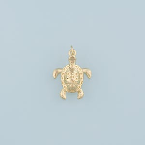 Könnte beinhalten: Ein goldfarbener Schildkröten-Anhänger. Die Schildkröte ist mit einer strukturierten Schale verziert und hat oben eine Öse zum Anbringen an einer Kette.