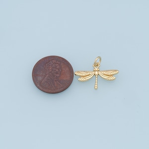 May include: Gold-toned dragonfly charm pendant, shown next to a US penny for size comparison.