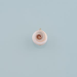 Gold Shell Charms,18K Gold Filled Conch Pendant,Conch Shell Charm Bracelet Necklace for DIY Jewelry Making Supply