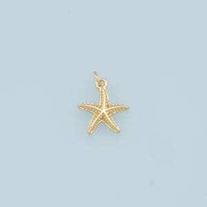 May include: A gold-colored starfish charm pendant. The starfish has a detailed design with small dots.
