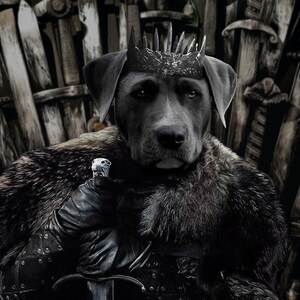 Custom Pet Portraits,Pet Portraits,Game of Thrones Dog Potrait,Funny Pet Lover Gift,King Pet Portrait,Personalized Dog Gifts For Owners