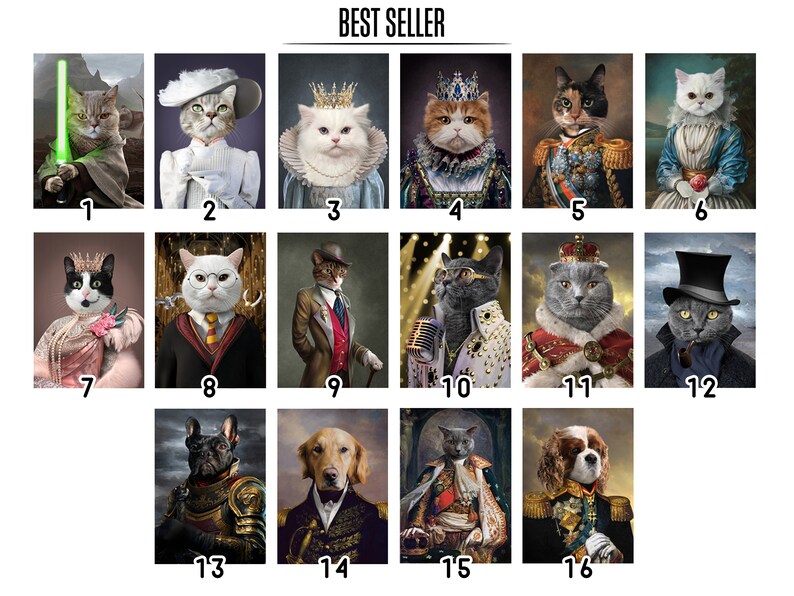 May include: A collection of sixteen portraits of cats and dogs dressed in regal and historical attire. The images include a cat with a lightsaber, a dog in armor, and a cat dressed as a singer.