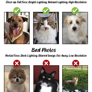 May include: Image comparing good and bad photo examples. The top row shows good photos of a dog, cat, and dog. The bottom row shows bad photos of a dog, cat, and dog. Text reads "Good Photos" and "Bad Photos".