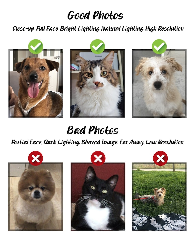May include: Image comparing good and bad photo examples. The top row shows good photos of a dog, cat, and dog. The bottom row shows bad photos of a dog, cat, and dog. Text reads "Good Photos" and "Bad Photos".