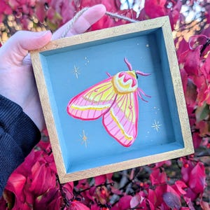 Könnte beinhalten: Ein quadratischer Wandbehang aus Holz mit goldfarbenem Rahmen und blauem Innenbereich. In der Mitte befindet sich ein handgemalter Ahorn-Zahnspinner mit leuchtend rosa und gelben Flügeln, akzentuiert durch kleine goldene Sterne.
