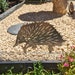 see more listings in the Garden Decor section