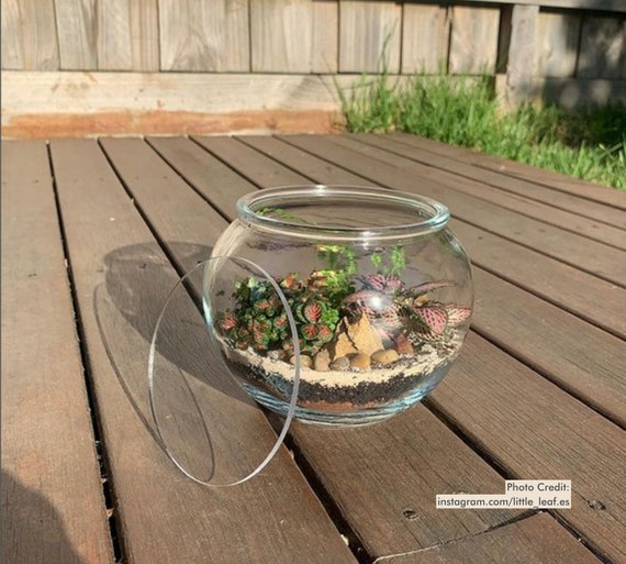 Terrarium Accessory Lid | 70mm - 300mm 3mm Clear Acrylic Circle | Custom Made Laser Cut Craft Supplies Australia | Blank Round Shape