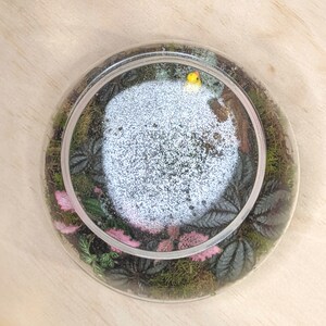 Puede incluir: Un terrario de vidrio transparente con un paisaje en miniatura. El terrario presenta una zona central blanca rodeada de musgo verde, plantas rosas y verdes, y una peque&ntilde;a figura de p&aacute;jaro amarillo. Se encuentra sobre una superficie de madera clara.