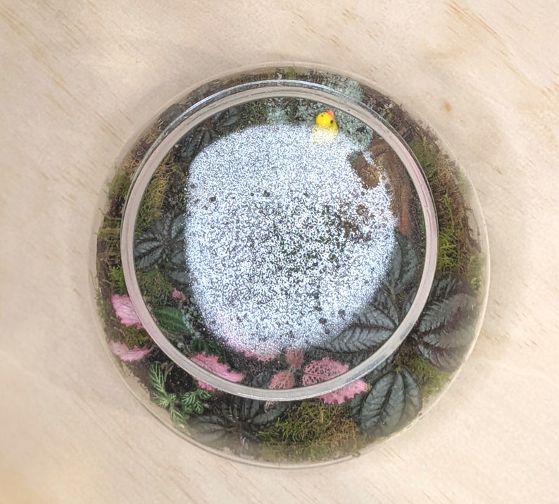 Puede incluir: Un terrario de vidrio transparente con un paisaje en miniatura. El terrario presenta una zona central blanca rodeada de musgo verde, plantas rosas y verdes, y una peque&ntilde;a figura de p&aacute;jaro amarillo. Se encuentra sobre una superficie de madera clara.