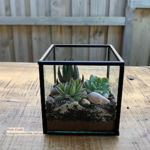 Square Terrarium Accessory Lid | 100 - 250mm 3mm Clear Acrylic | Custom Made Laser Cut Craft Supplies Australia | Blank Shape