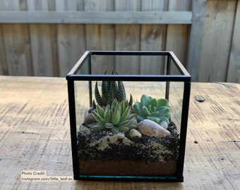 Square Terrarium Accessory Lid | 100 - 250mm 3mm Clear Acrylic | Custom Made Laser Cut Craft Supplies Australia | Blank Shape