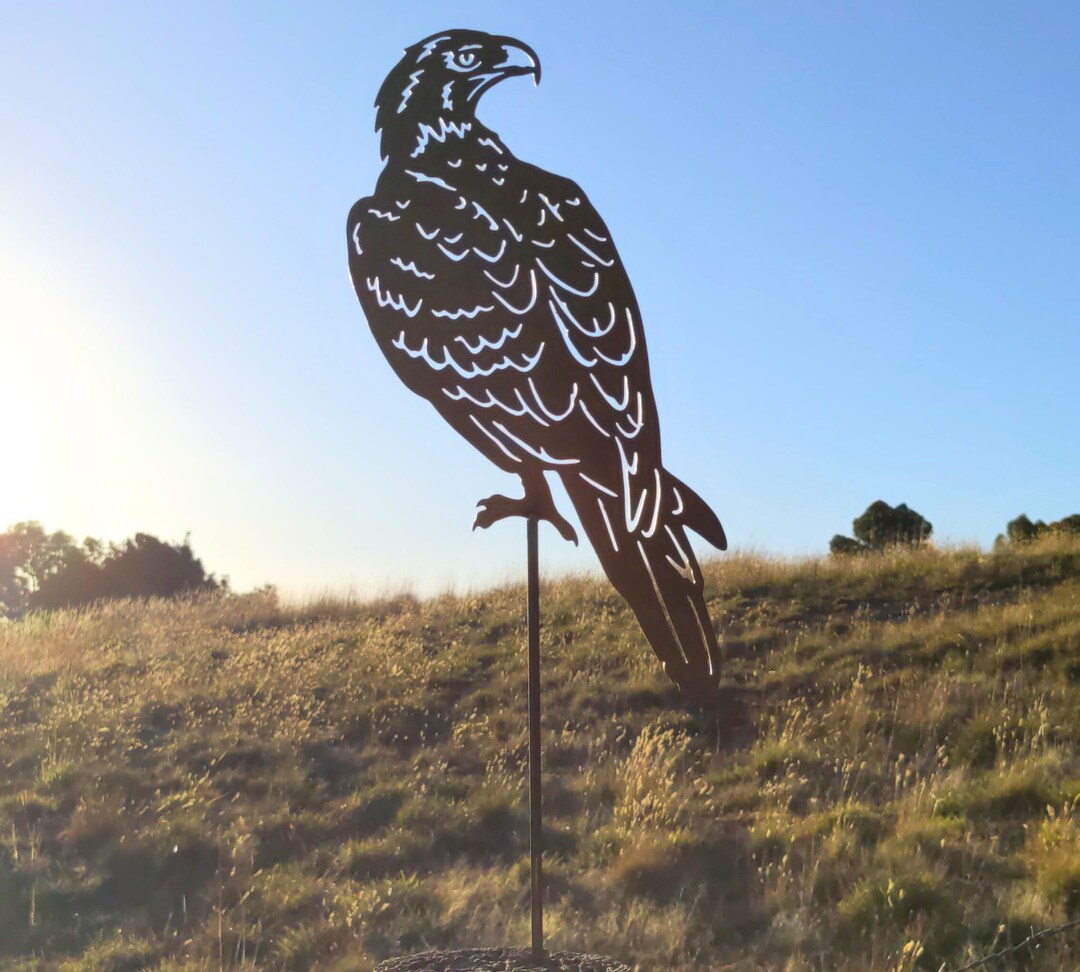Wedge-tailed Eagle Decorative Garden Art Australian Native Animal Steel ...