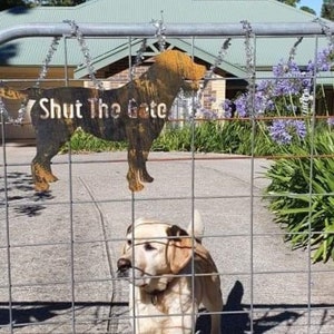 Labrador Golden Flat Coat Retriever Dog Silhouette, Shut the Gate Sign, Outdoor Rustic Metal, Laser Cut, Custom Made in Australia image 2