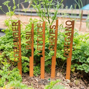 May include: Weathered metal garden markers, labelled with the names of herbs: coriander, basil, lettuce, chives, and oregano. The markers are set in a garden bed, surrounded by green herbs and plants.
