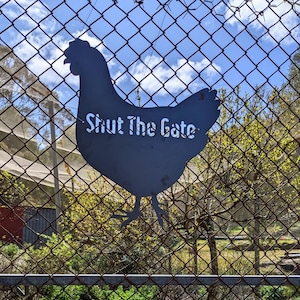 May include: A dark metal chicken-shaped sign with the words "Shut The Gate" cut out. The sign is mounted on a chain-link fence, with a blue sky and trees in the background. The sign is a decorative item for a farm or garden.