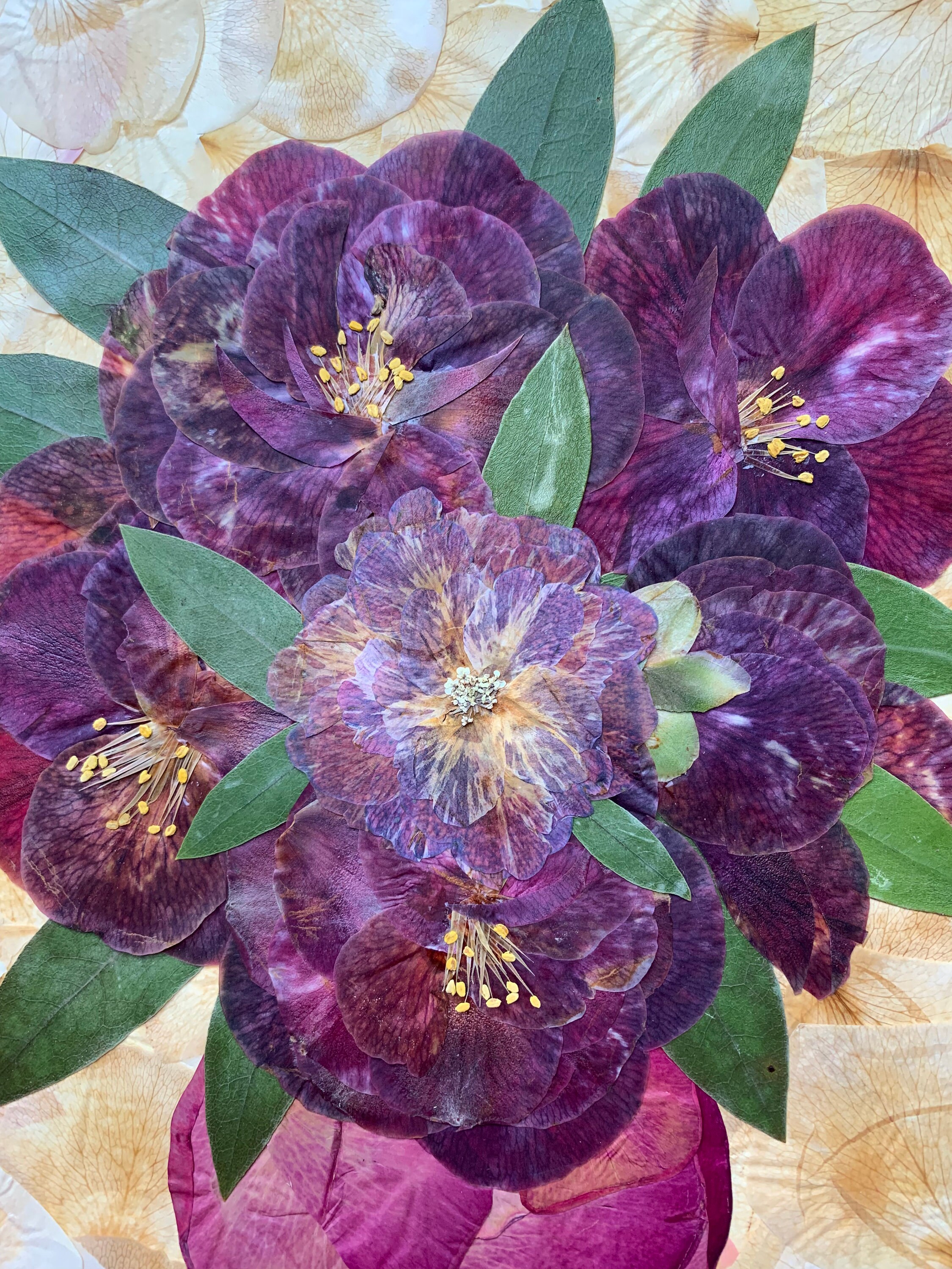 Pressed Flower Art Pressed Flower Wall Art Dried Flower Art Etsy UK