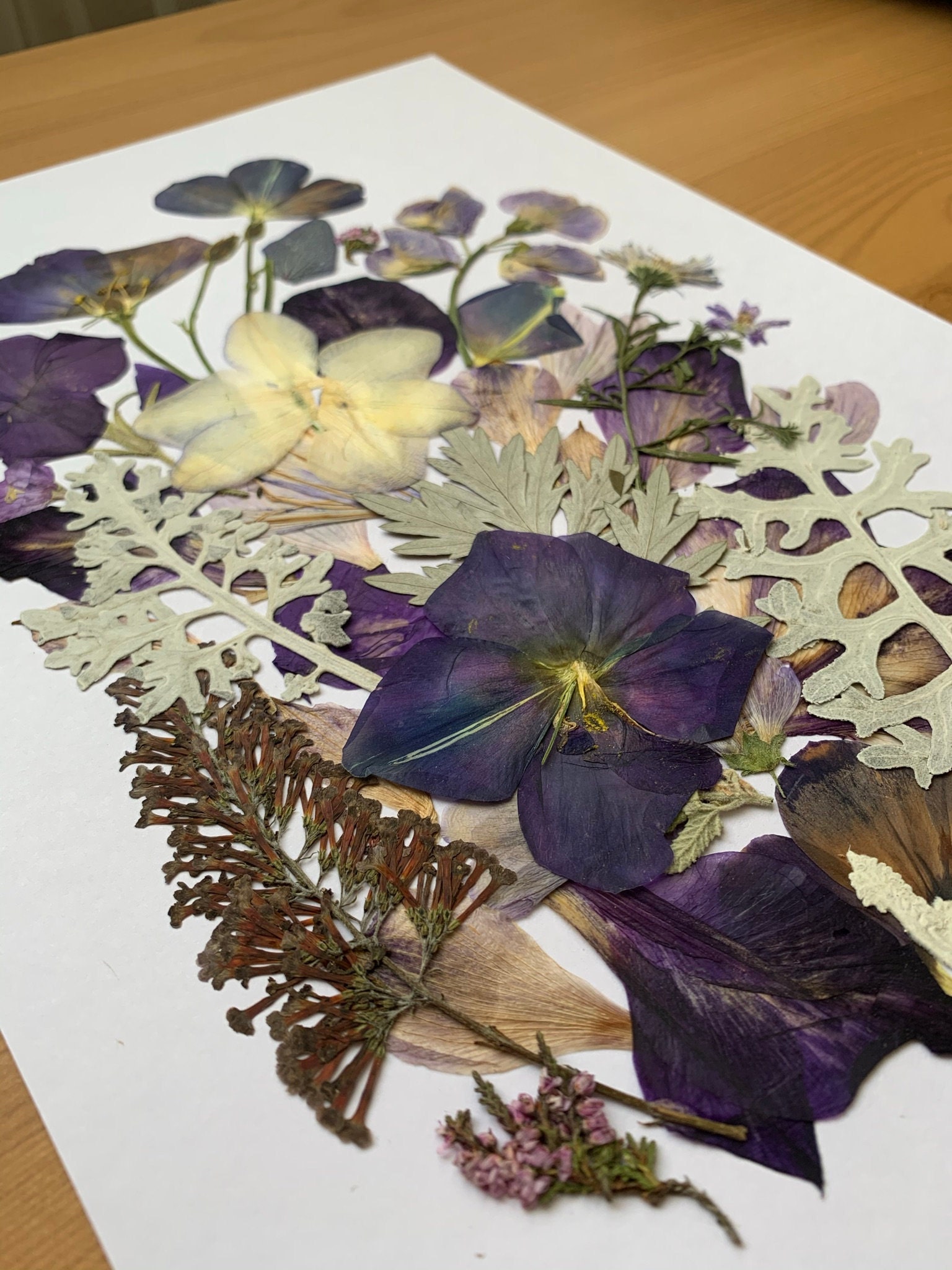 Original pressed flower art Pressed flower art Herbarium Etsy