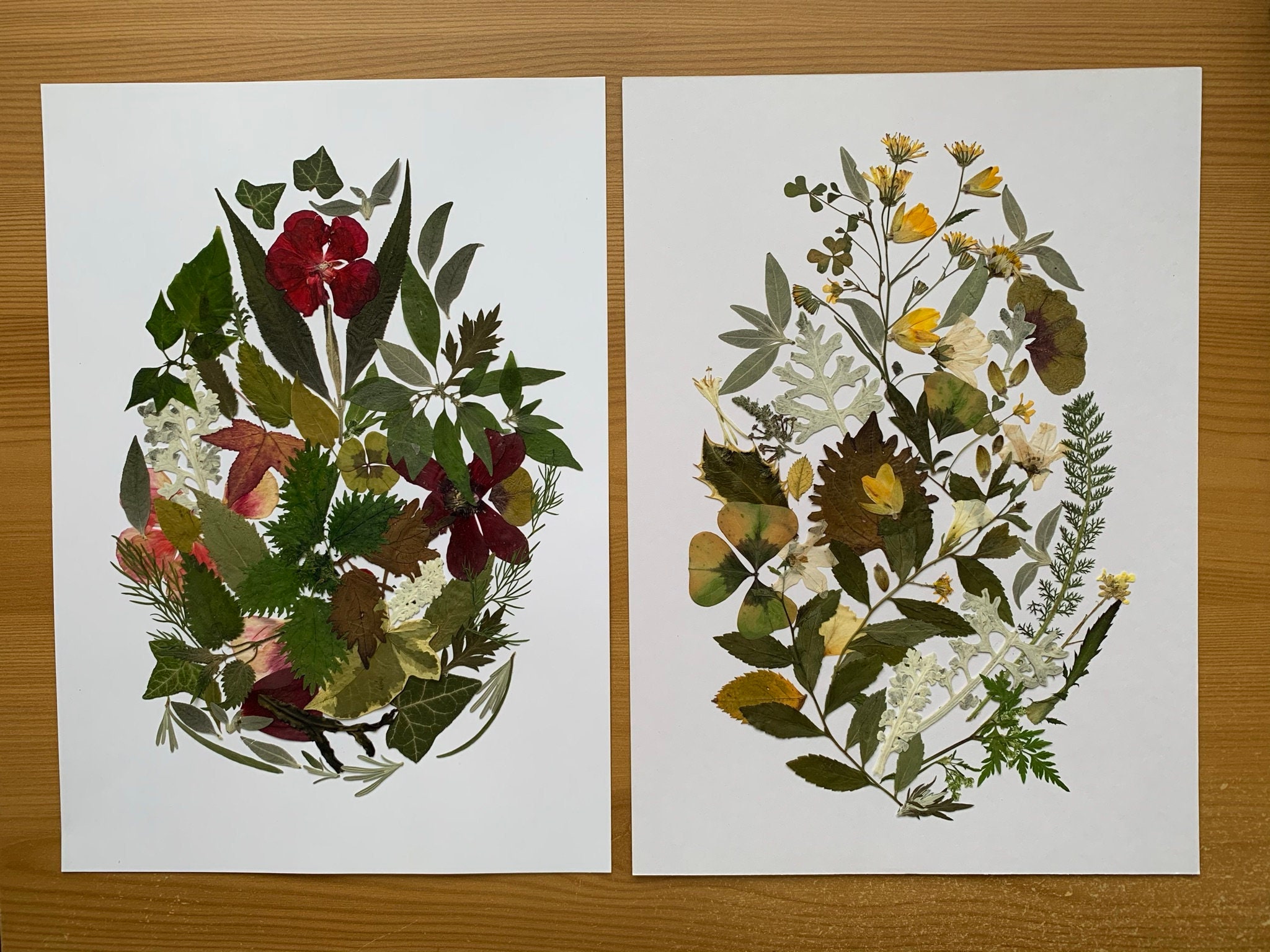 Botanical Collage Pressed Flower Picture Vertical Dried Etsy UK