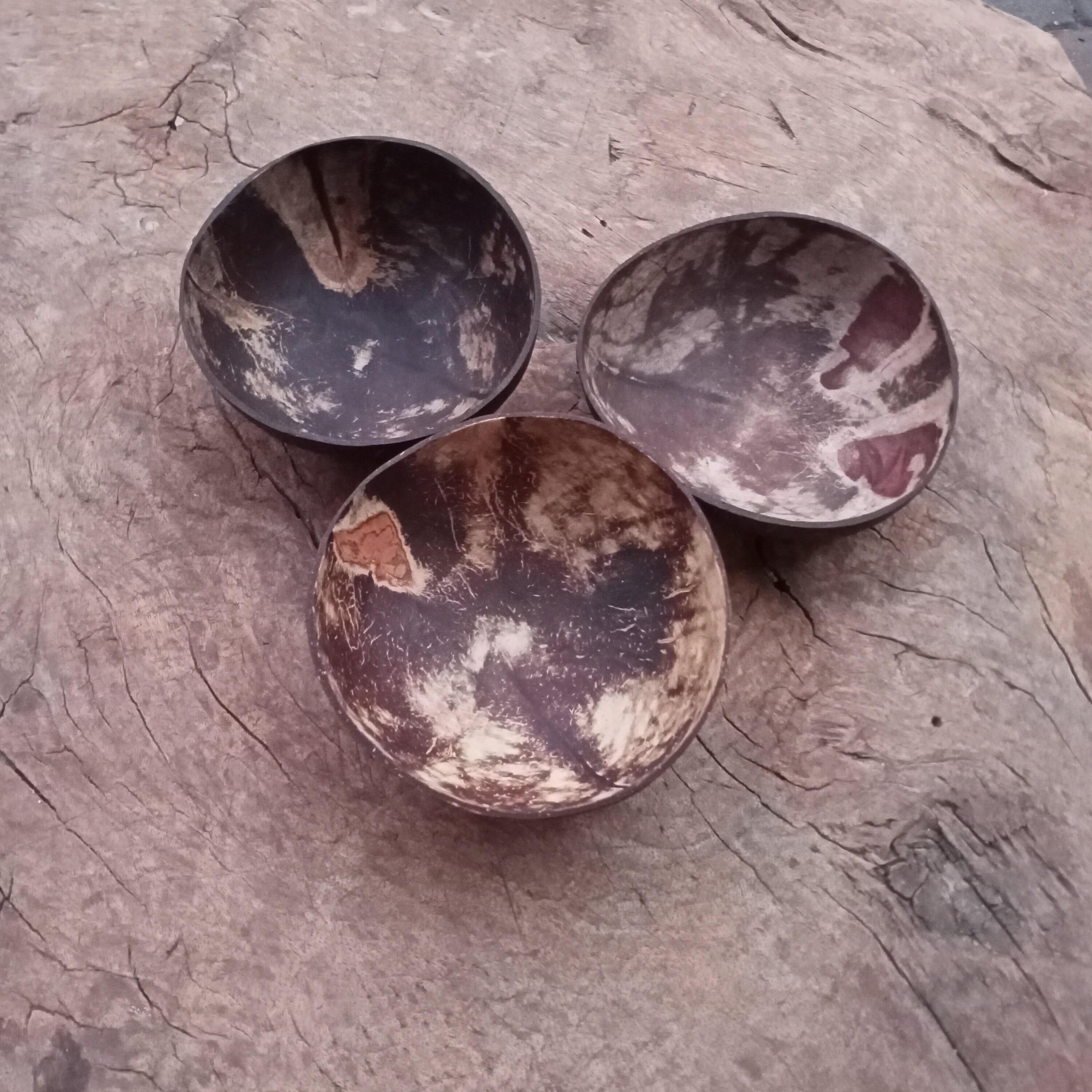 Coconut shell bowl 3 pieces nature handmade . Etsy