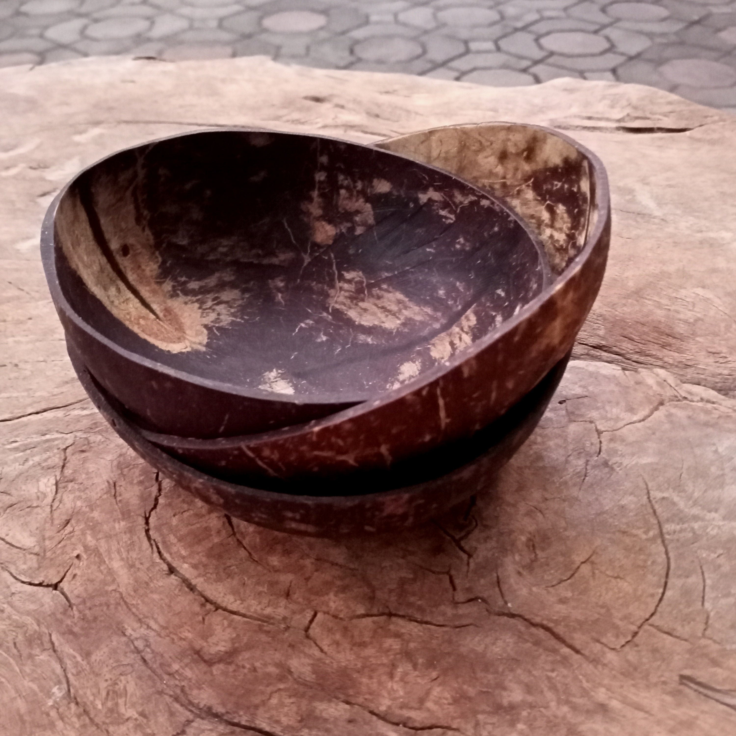 Coconut shell bowl 3 pieces nature handmade . Etsy