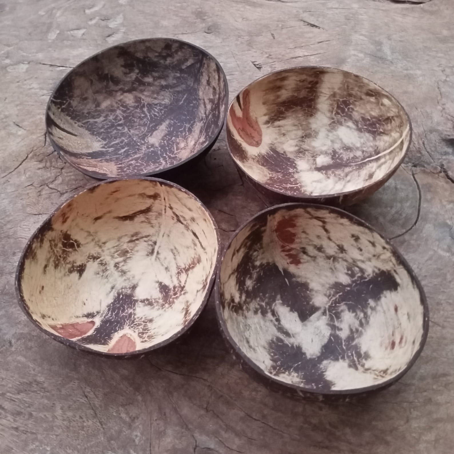Fresh Coconut: From Shell To Bowl - tv61cwc