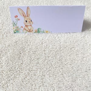 Lot 10 marque places lapin Pâques décoration table baptême-anniversaire-communion