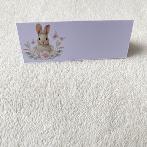 Lot 10 marque places lapin décoration table baptême-anniversaire-communion