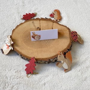 Lot 10 marque places automne-animaux foret décoration table baptême-anniversaire-communion