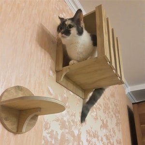 Set for cats in SIZE L, Wall mounted cat bed, Cat shelves, Cat furniture, Cat wall furniture set, Cat climbing wall, Cat wall Shelves Set