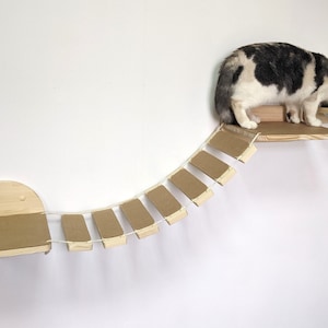 Kattenvoerstation: verhoogde glazen kattenbakken met brug, perfect verhoogde kattenvoer die voedsel en katten beschermt tegen honden en andere dieren