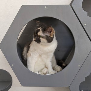 Cat Hexagon Shelf, Cat furniture modern, Cat wall bed, Cat playground, Cat jungle gym, Wall mounted cat bed, Cat shelves, Cat climbing wall
