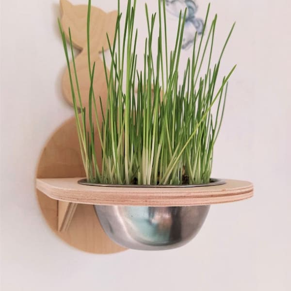 Cat Feeder Shelf with Grass, Dog proof cat feeder, Cat wall feeder, Wall cat feeder, Cat bowls, Cat food bowl, Cat bowl, Elevated cat bowl