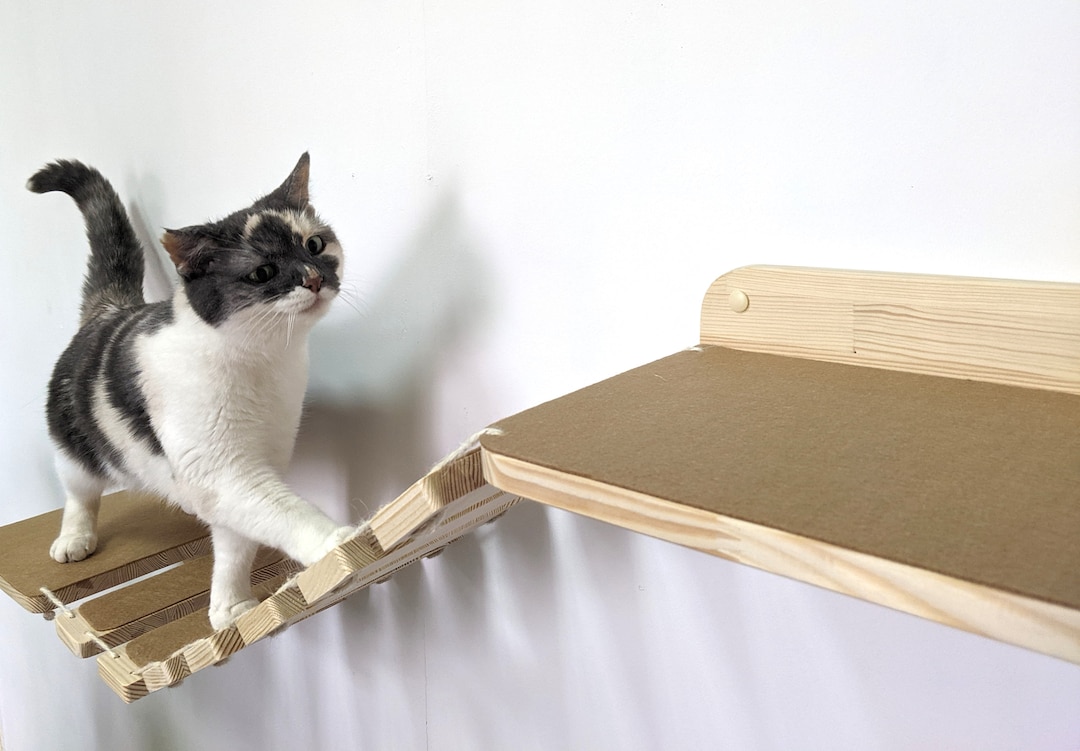 Covered cat feeder clearance