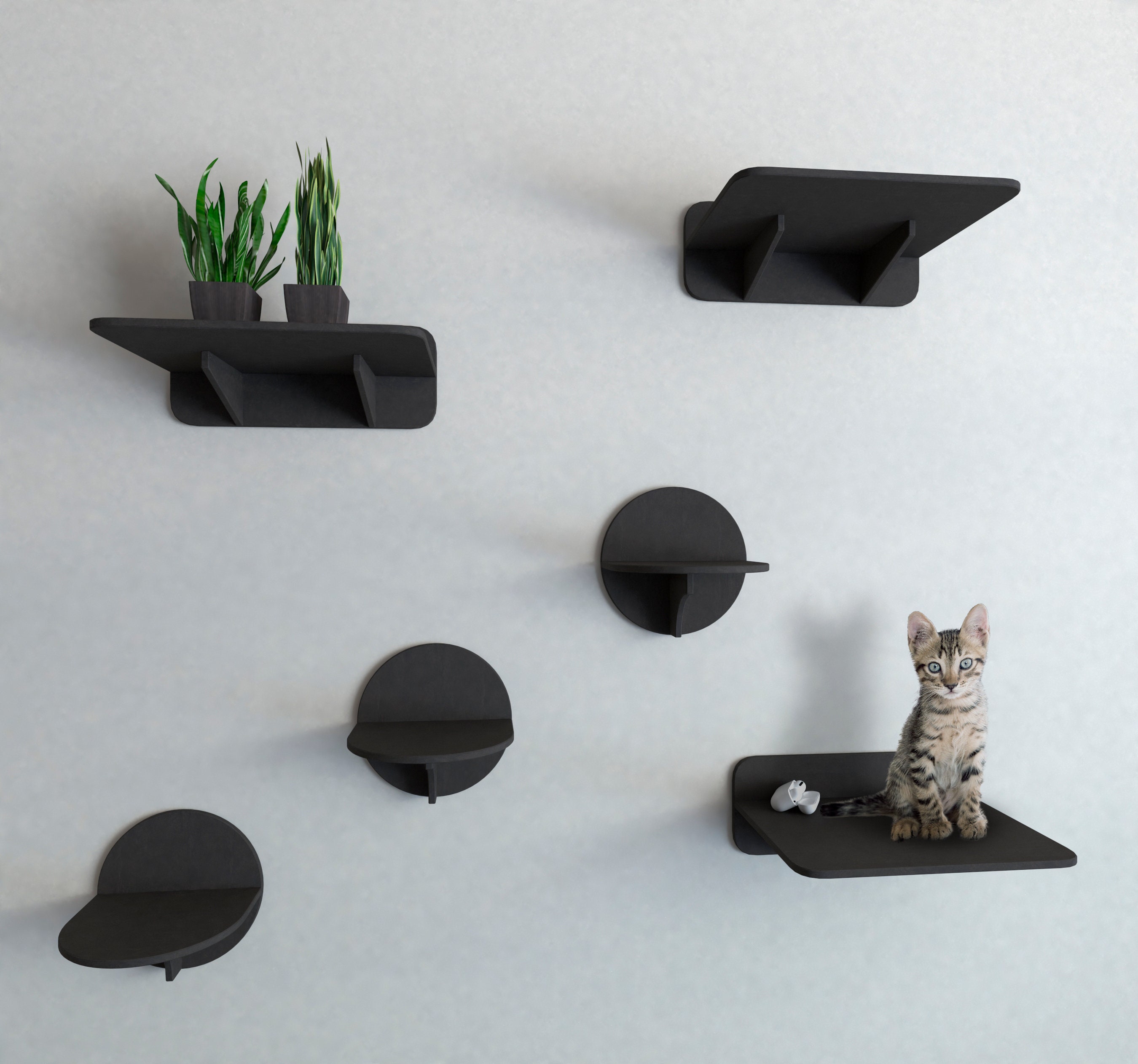 Cat Wall Shelves Set in Black Color With 3 Steps and 3 Shelves Cat Shelves Cat Furniture Cat Tree Cat Tower Cat Wall Furniture Shelf Etsy UK