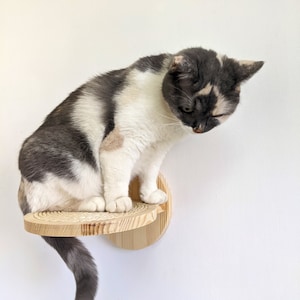 Hermosos escalones para gatos para paredes con cuerda de sisal, estantes para gatos modernos para pared de Ucrania, 5 colores para madera, muebles para gatos 2024 imagen 6