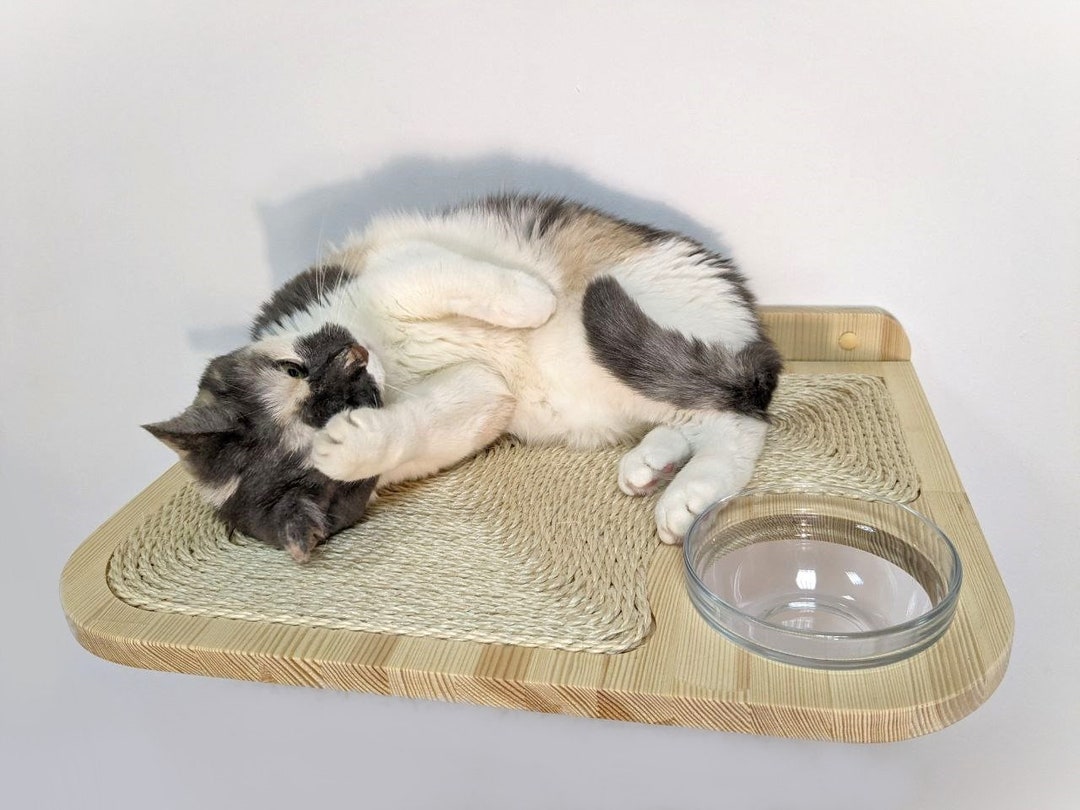Wall Mounted Cat Bed With Built-in Glass Bowl, Cat Wall Shelves for Any ...