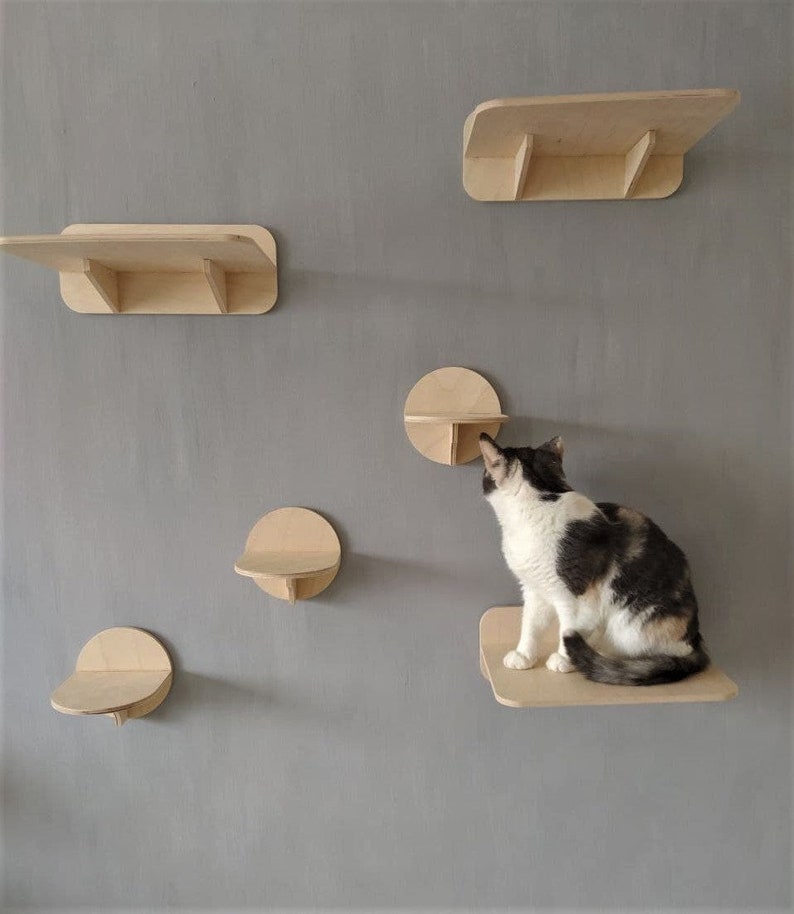 Cat Wall Shelves Set With 3 Steps size M and 3 Shelves for Etsy