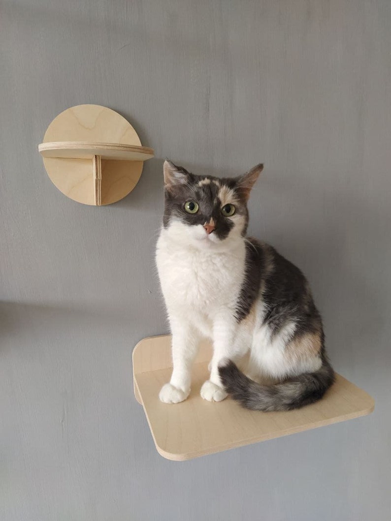 Cat Wall Shelves Set with 3 Steps size M and 3 Shelves for image 3