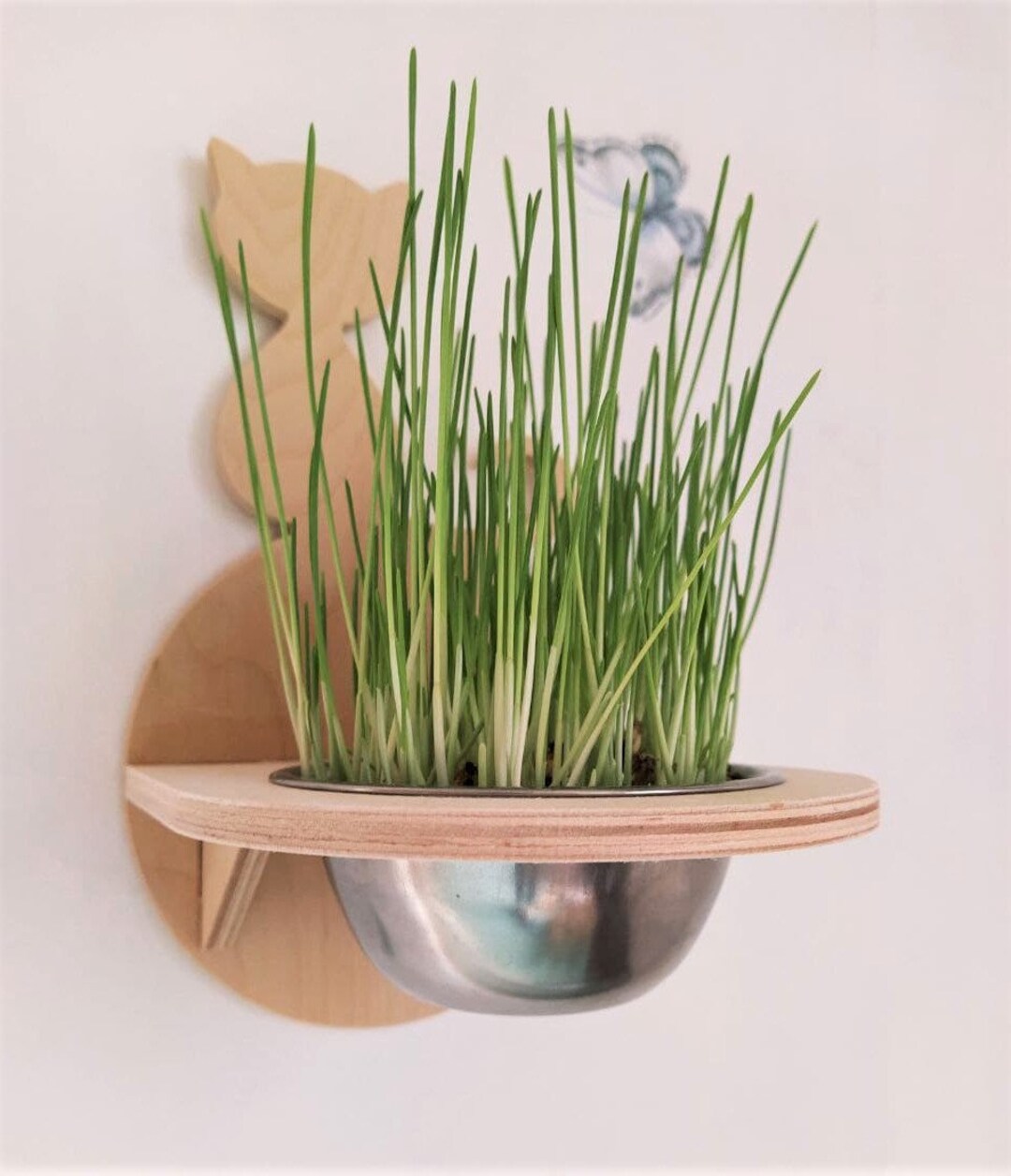 Cat Feeder Shelf With Grass Dog Proof Cat Feeder Cat Wall Etsy