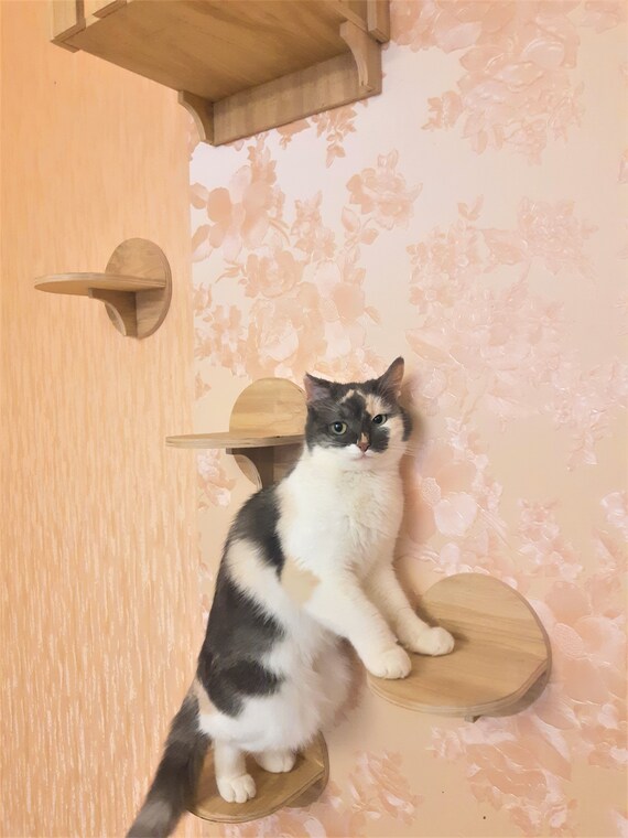 Arbre à Chat Mural En Bois à 2 Marches Avec Corde En Jute - Pour Escalade, Repos Et Jeu - Facile à Installer