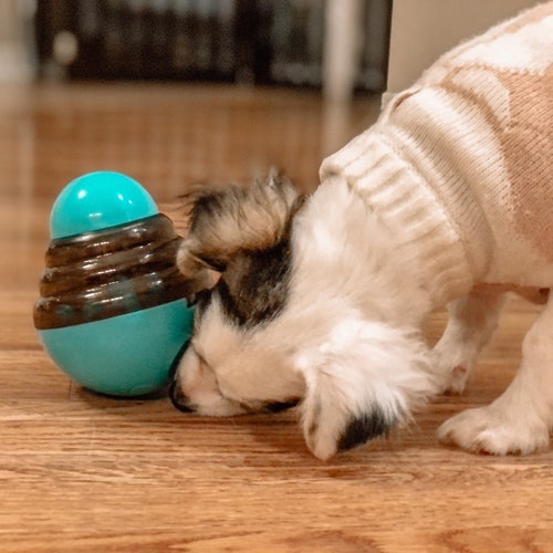 PVC Dog Enrichment Toy Etsy