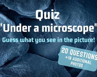 Quiz "Under a microscope" - Can you guess what's in the picture? / Perfect for Teambuilding, Family party or Science class / Can play Online
