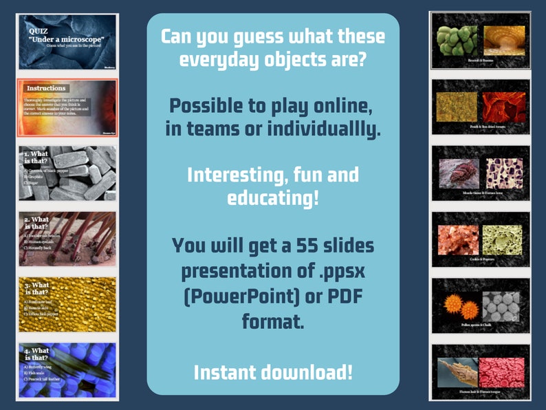 Quiz under a Microscope Can You Guess What's in the Picture / Perfect