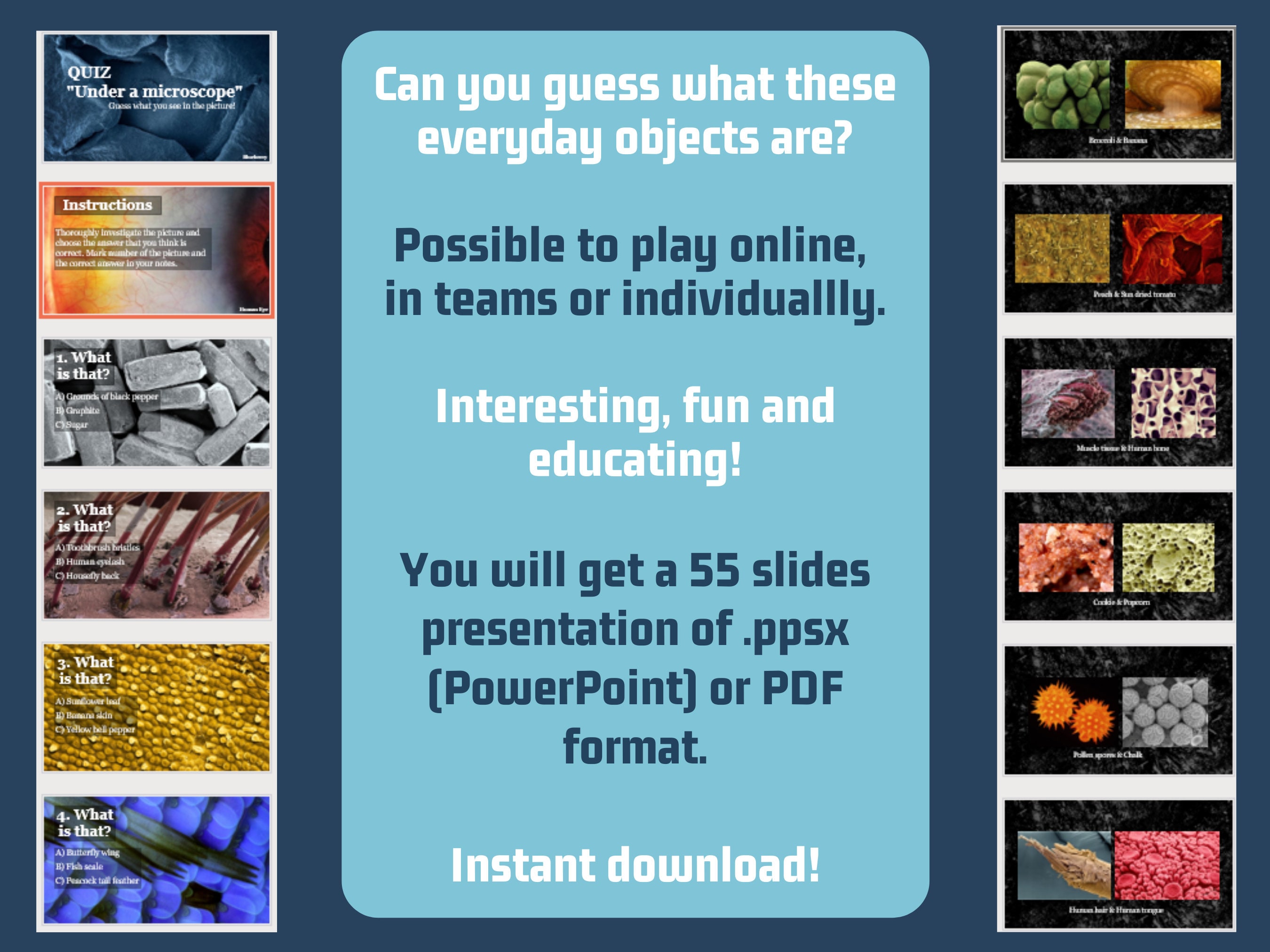 Quiz under a Microscope Can You Guess What's in the Picture / Perfect