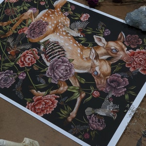 Fawn Deer with Birds and Flowers gothic botatnical art Giclee Print from original hand-painting by Albino Jackrabbit image 2