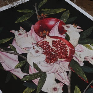 Albino Fruit Bats Pomegranate Dark Academia Giclee Print from original hand-painting by Albino Jackrabbit image 3