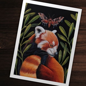 Red Panda and Moth Giclee Print from original hand-painting by Albino Jackrabbit image 2