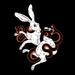 Avatar belonging to AlbinoJackrabbit
